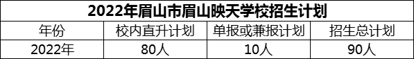 2024年眉山市眉山映天學(xué)校招生計劃是多少？