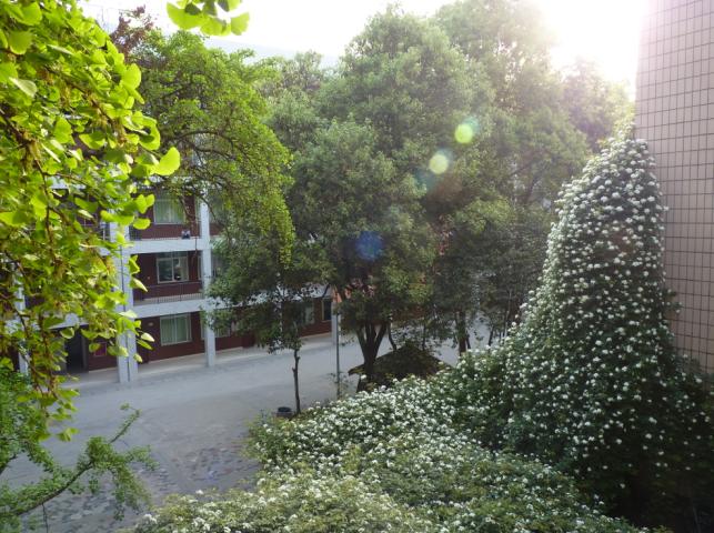 石室聯(lián)合中學(xué)蜀華分校怎么樣？
