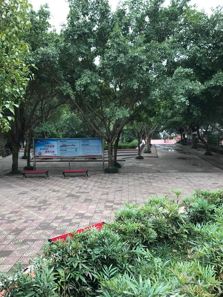 內(nèi)江十二中好嗎？