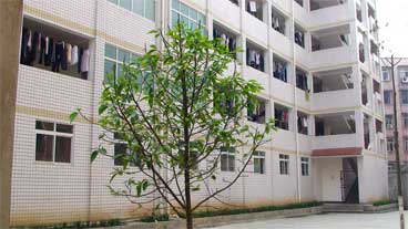 威遠自強中學是民辦還是公辦學校？