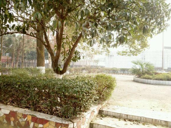 隆昌六中現(xiàn)在有沒有高中?。?/></span></p><p id=