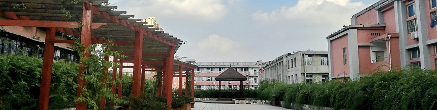 成都市通錦中學(xué)2019年中考分?jǐn)?shù)線是多少？