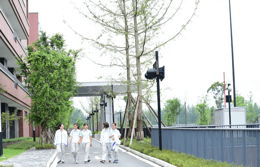 電子科技大學(xué)實(shí)驗(yàn)中學(xué)2020年招生計劃公布
