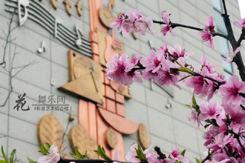 石室天府中學(xué)環(huán)境好不好、怎么樣？