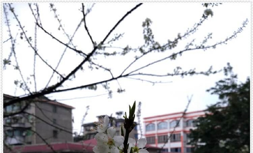 洪雅中學(xué)是一所公辦高中學(xué)嗎？
