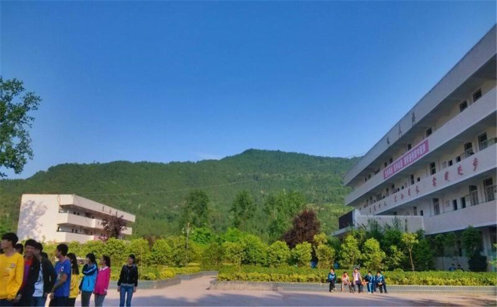 金山中學2020年學校招生計劃在哪兒看？