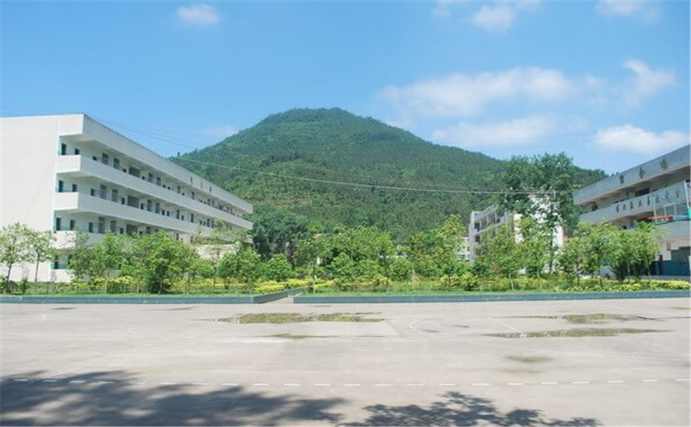 金山中學(xué)學(xué)校環(huán)境如何？