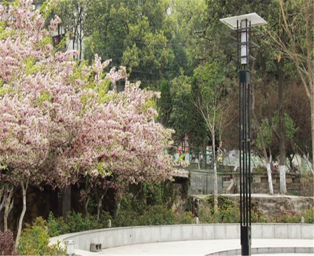 廣元實驗中學學校招辦電話是多少？