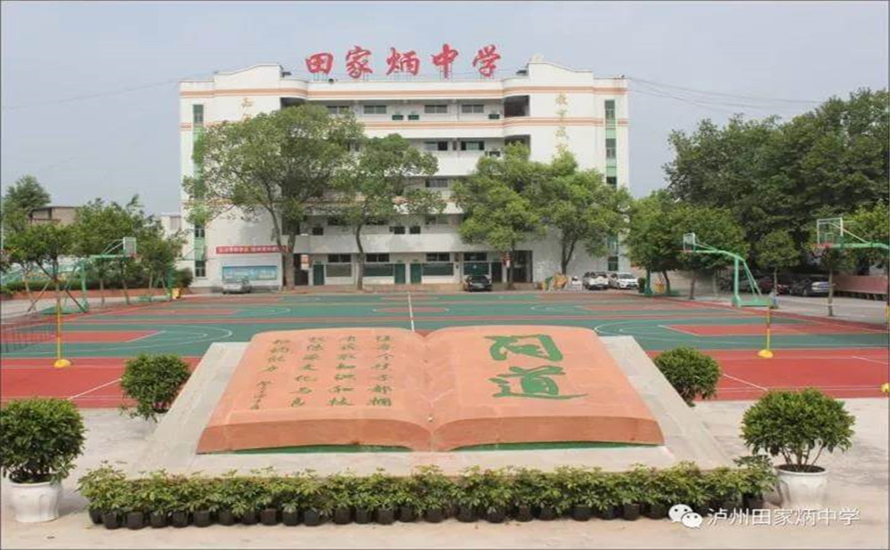 瀘洲市田家炳中學(xué)是公辦學(xué)校嗎？