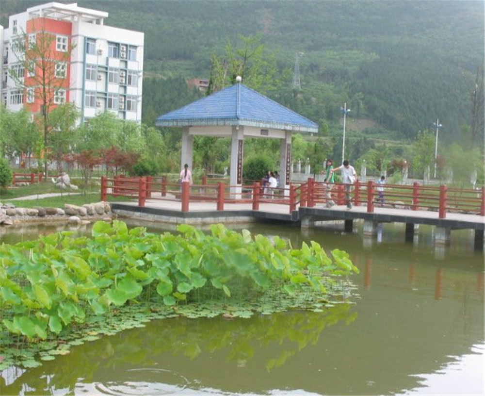 廣元外國(guó)語學(xué)校2020年學(xué)校招生簡(jiǎn)章公布了嗎？
