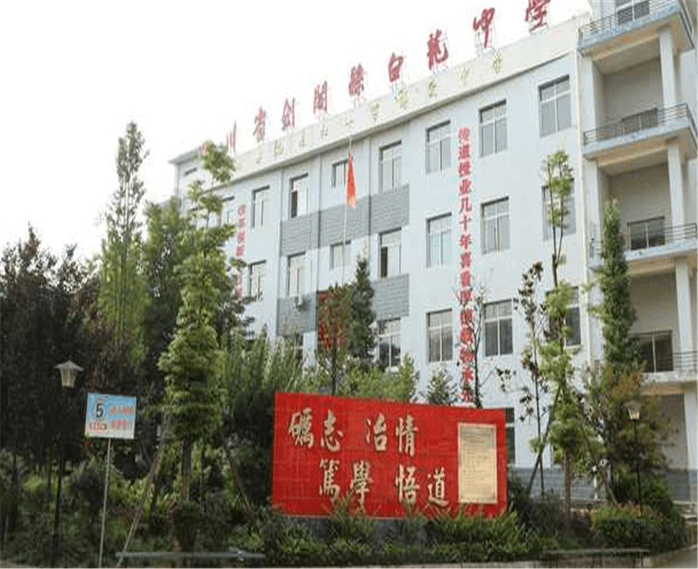 白龍中學2020年招生計劃公布了嗎？