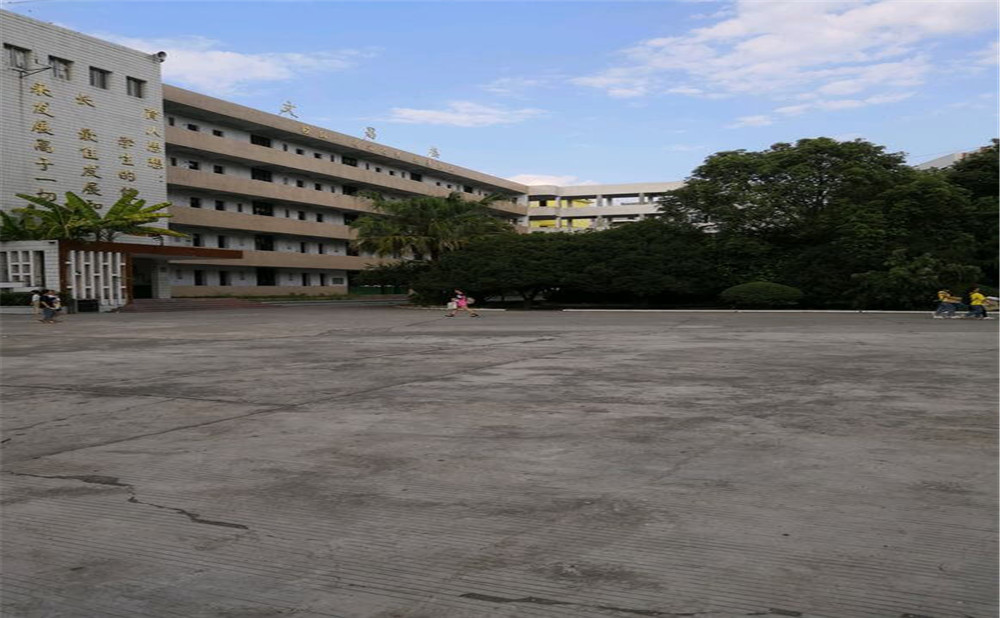 柳樹中學2020年的招生計劃公布了嗎？
