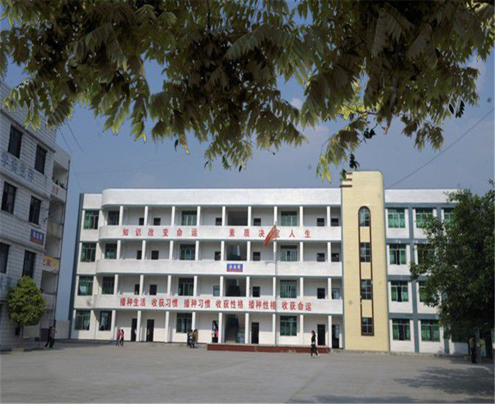 臨巴中學(xué)的詳細(xì)地址在什么地方？