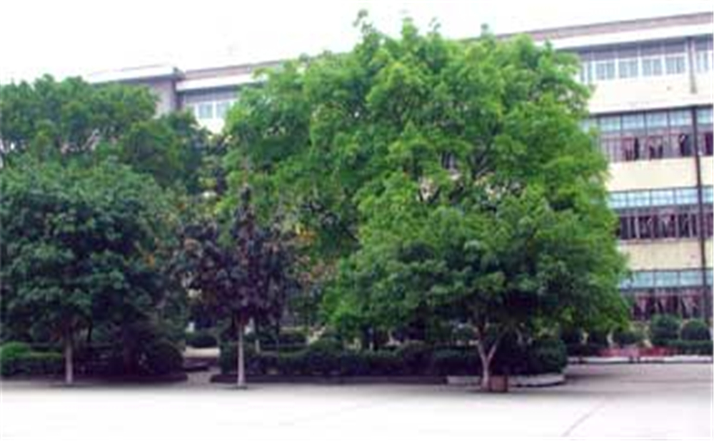 威遠(yuǎn)縣自強(qiáng)中學(xué)學(xué)校環(huán)境怎么樣？