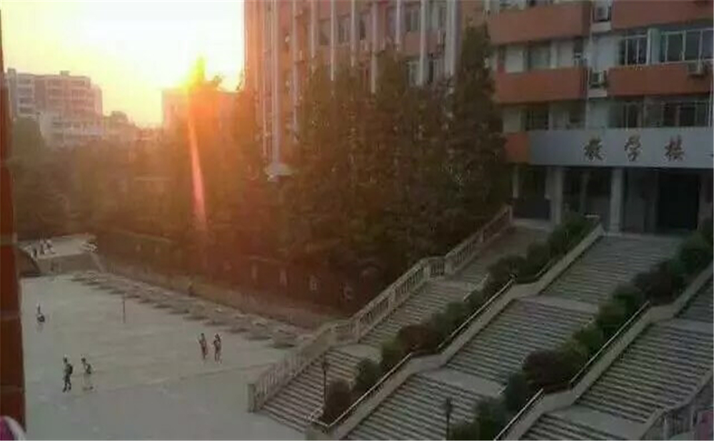 南充十一中學校招辦電話是多少？