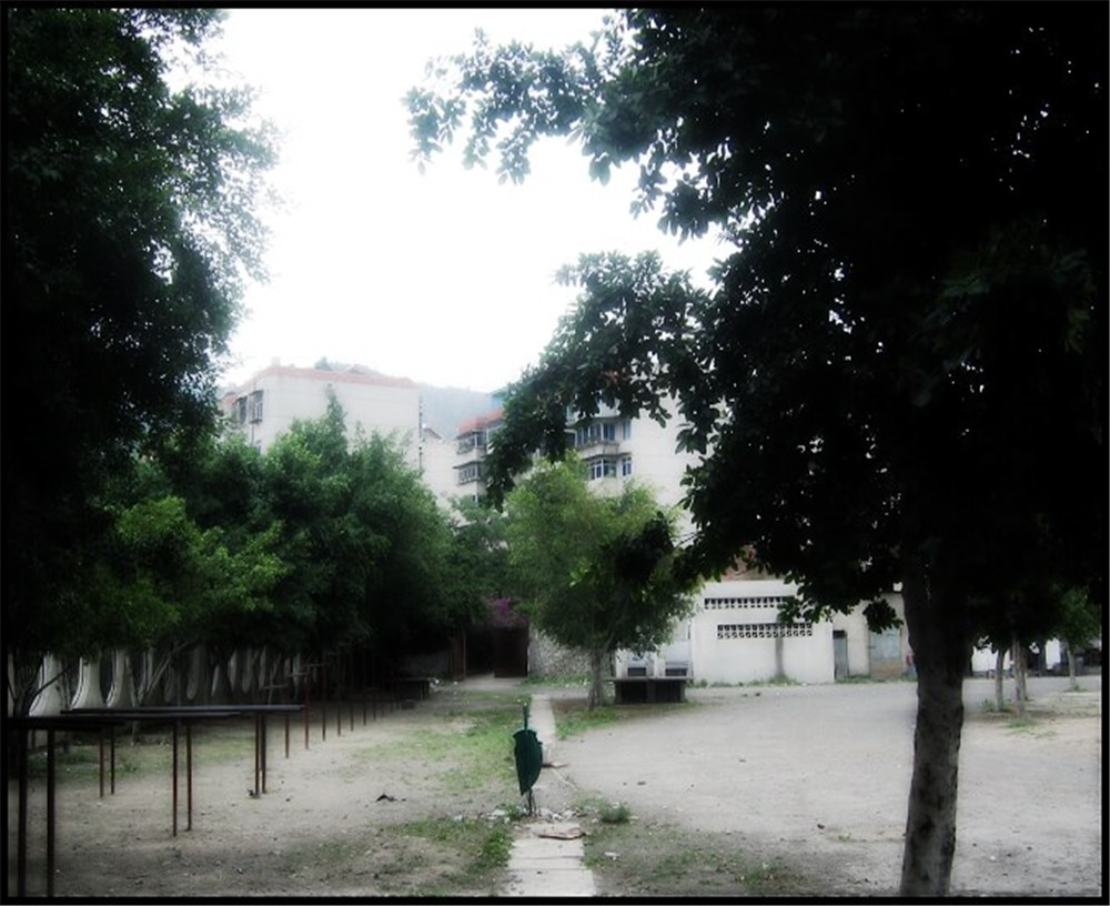 攀枝花市延邊縣中學校招辦電話是多少？
