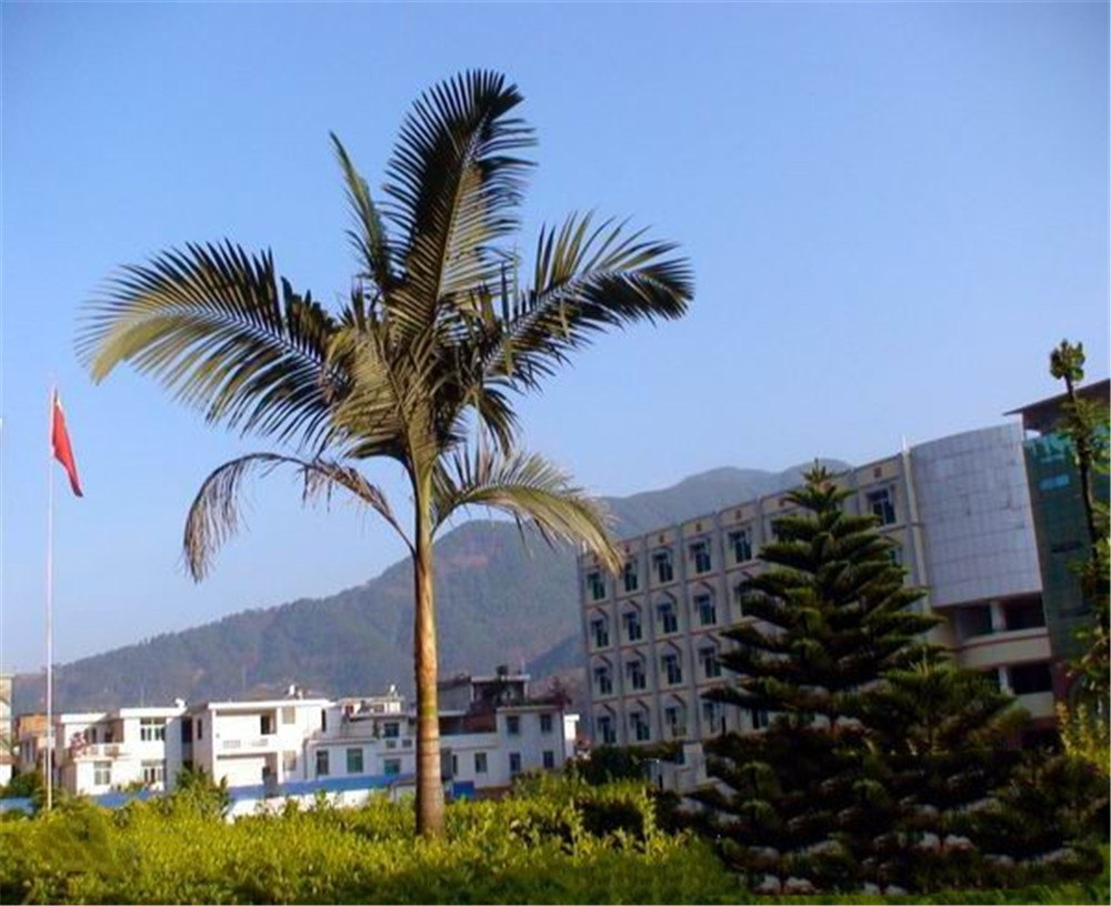四川省鹽邊縣漁門中學(xué)2020年學(xué)校學(xué)費多少錢一年？