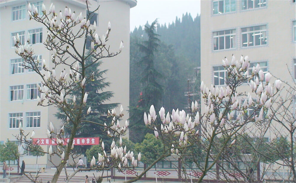 建興中學2020年中考錄取分數(shù)線多少分？