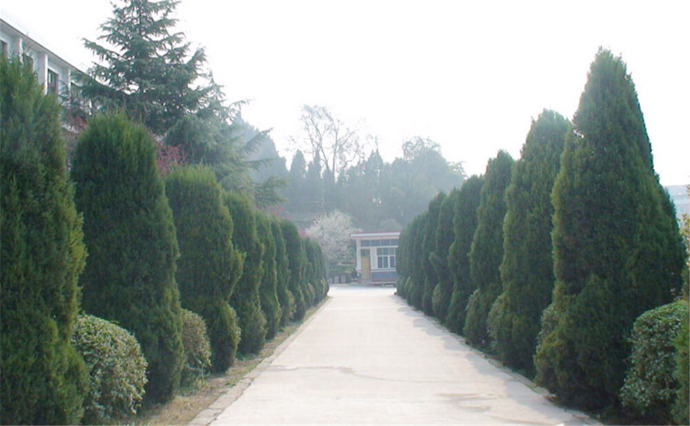 建興中學學校環(huán)境怎么樣？