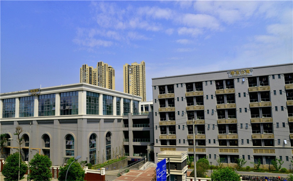成都市第四十九中學(xué)去年的錄取分?jǐn)?shù)是多少？
