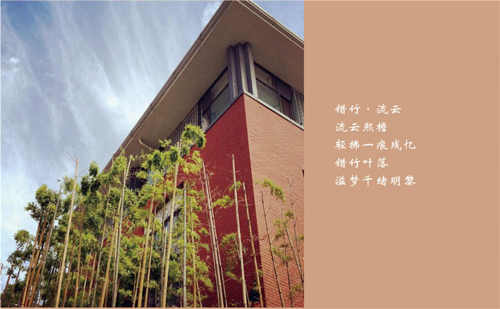 成都七中的高考升學率是多少？