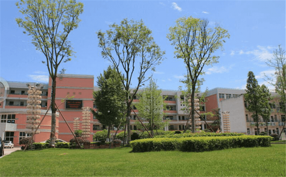 成都市籍田中學(xué)的老師怎么樣？