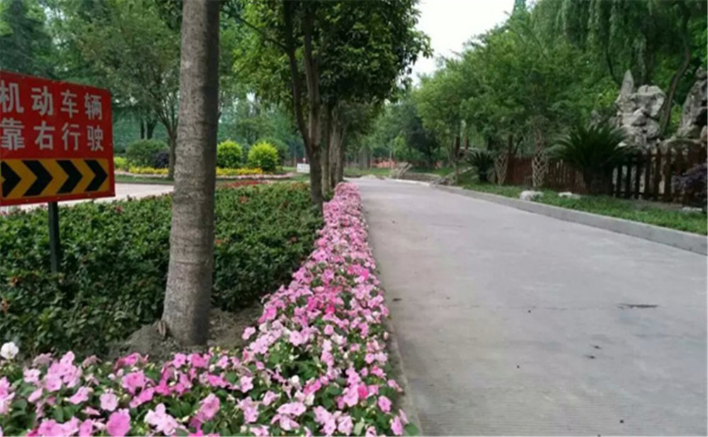 玉壘學(xué)校的老師怎么樣？