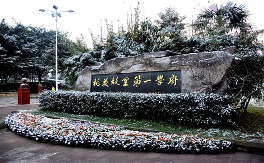 成都市龍泉中學(xué)的高考升學(xué)率是多少？