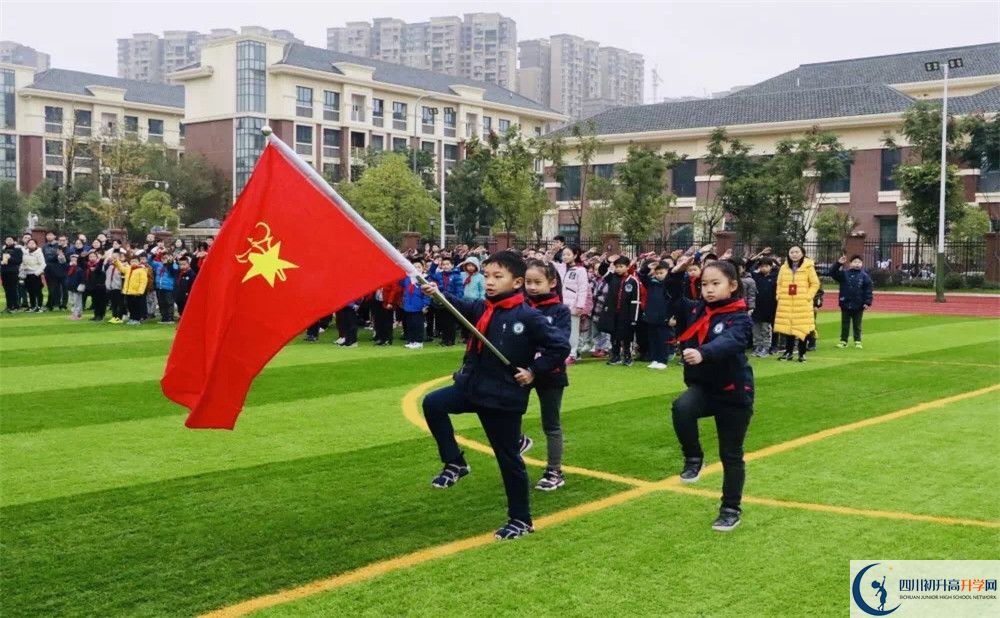 成都教科院附屬學(xué)校的學(xué)費收費標準是多少？