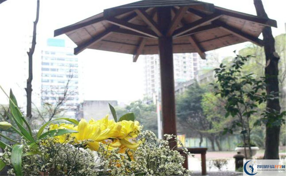 成都市石室聯(lián)中蜀華分校的高中好不好？