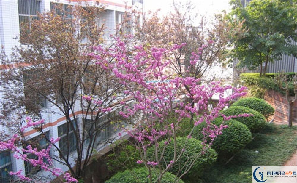 三星中學(xué)初升高的分數(shù)線是多少？