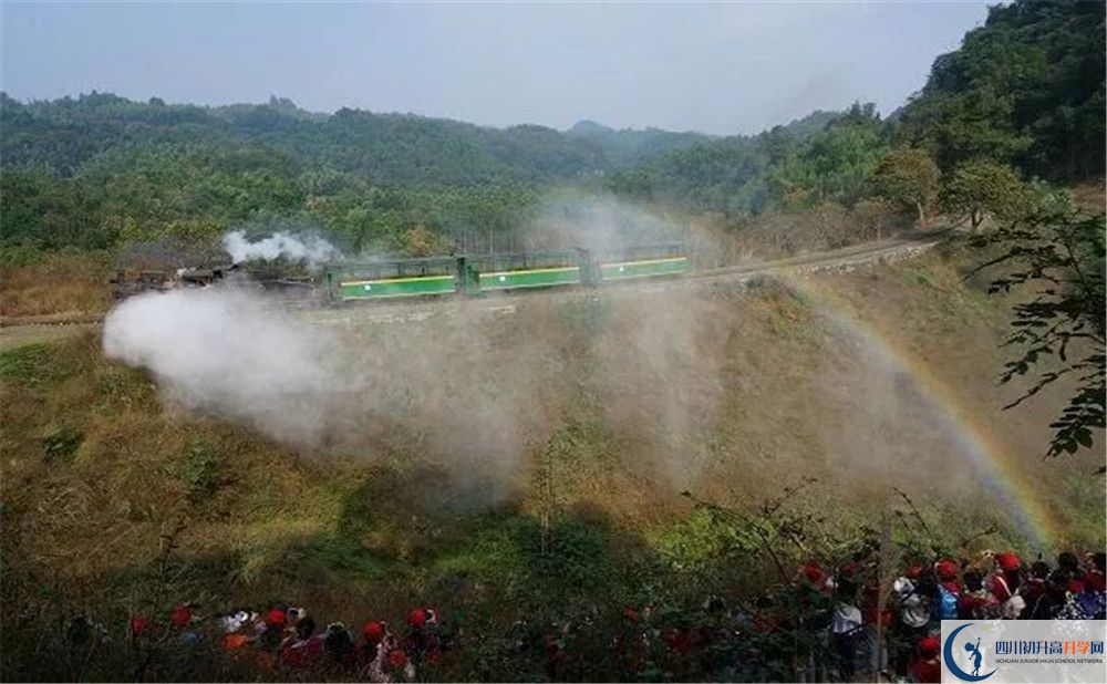 考成都市泡桐樹中學分數(shù)線是多少？