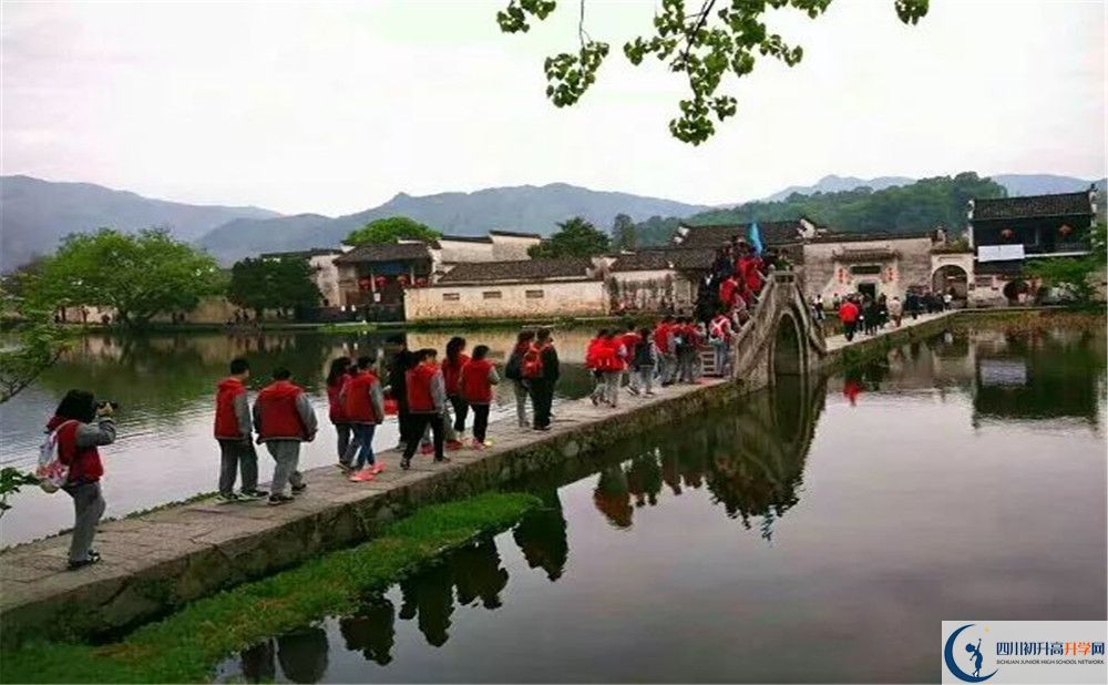 成都市泡桐樹中學(xué)的學(xué)費(fèi)一期是多少？