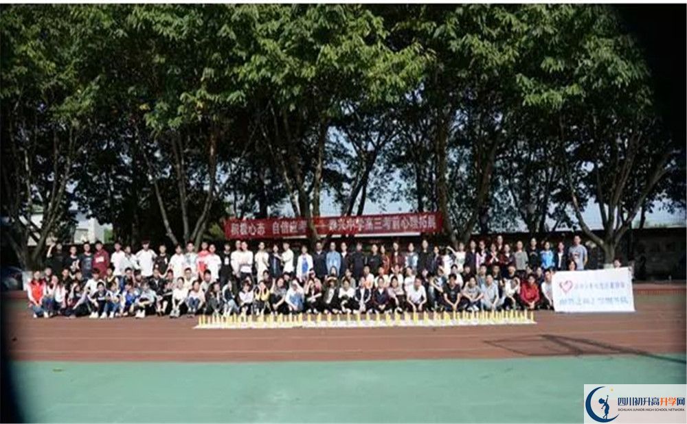 新都泰興中學的分數(shù)線大概是多少？