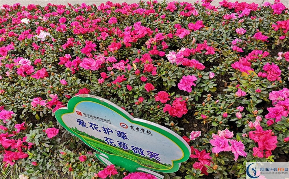 育才學(xué)校高中歷年來的分?jǐn)?shù)線是多少？