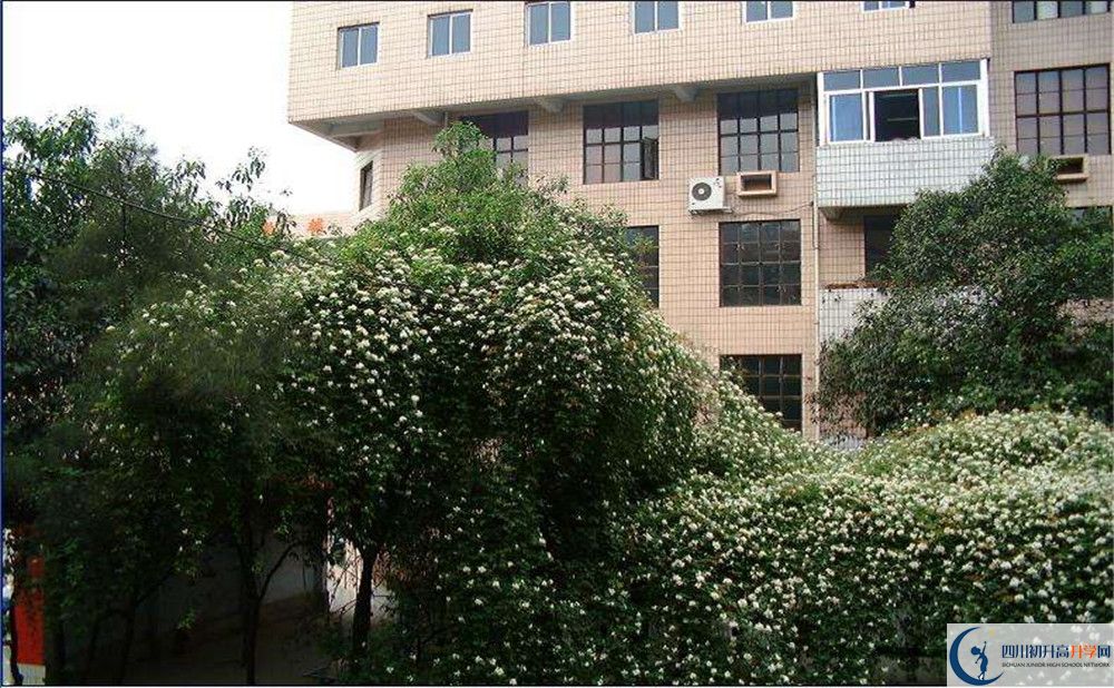 石室聯(lián)合中學(xué)蜀華分校2020年錄取條件是什么？