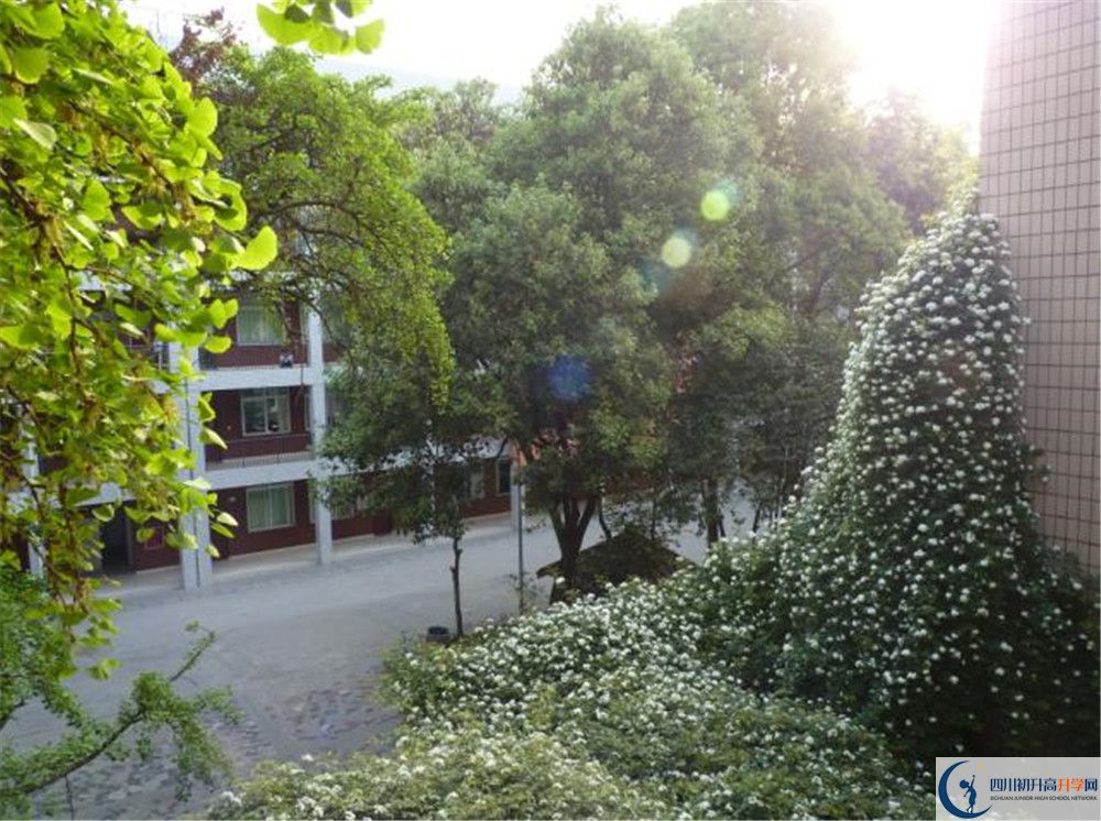 四川師范大學(xué)實(shí)驗(yàn)外國(guó)語(yǔ)學(xué)校2020年錄取條件是什么？