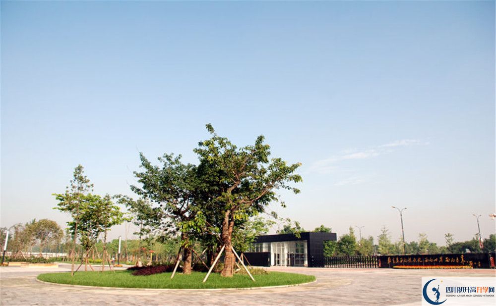 成都樹(shù)德中學(xué)光華校區(qū)2020年外地生自主招生錄取名單哪看？