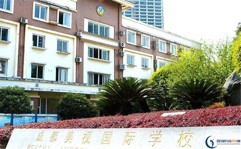 成都美視國(guó)際學(xué)校的高一會(huì)分班嗎？