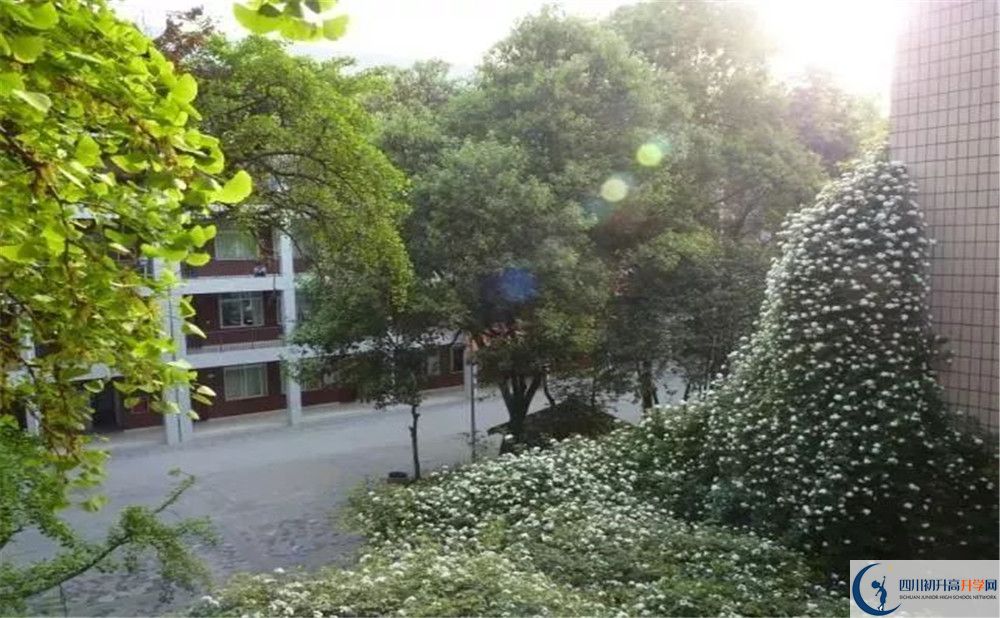石室聯(lián)合中學(xué)蜀華分校2020年高一入學(xué)考試時(shí)間是多久？