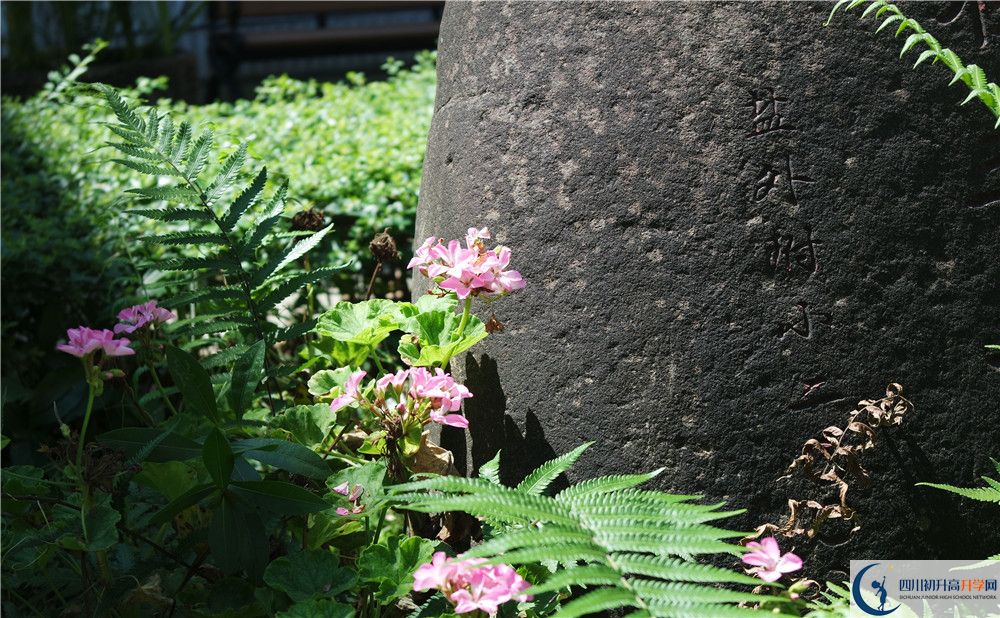 石室聯(lián)合中學(xué)蜀華分校住宿費(fèi)用是多少？
