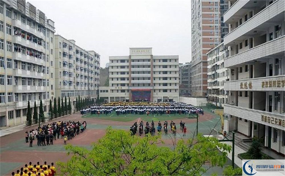 陽安中學的高一分班嗎？
