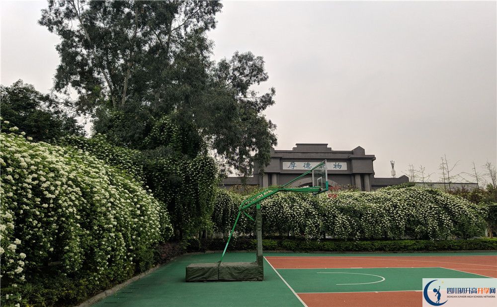 成都大學(xué)附屬中學(xué)2020清華北大錄取學(xué)生是多少？