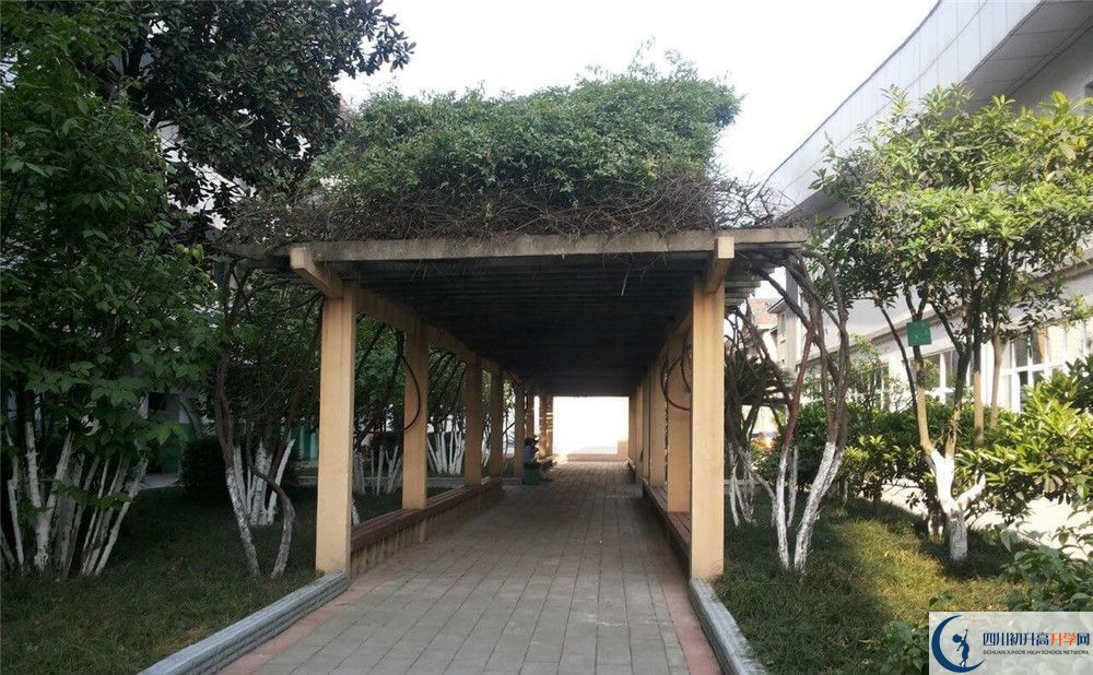 通錦中學(xué)2020年清華北大錄取學(xué)生有多少？