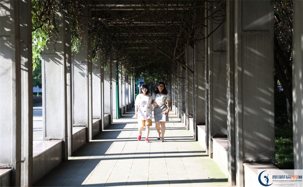 成都市龍泉中學(xué)2020年清華北大人數(shù)是多少？