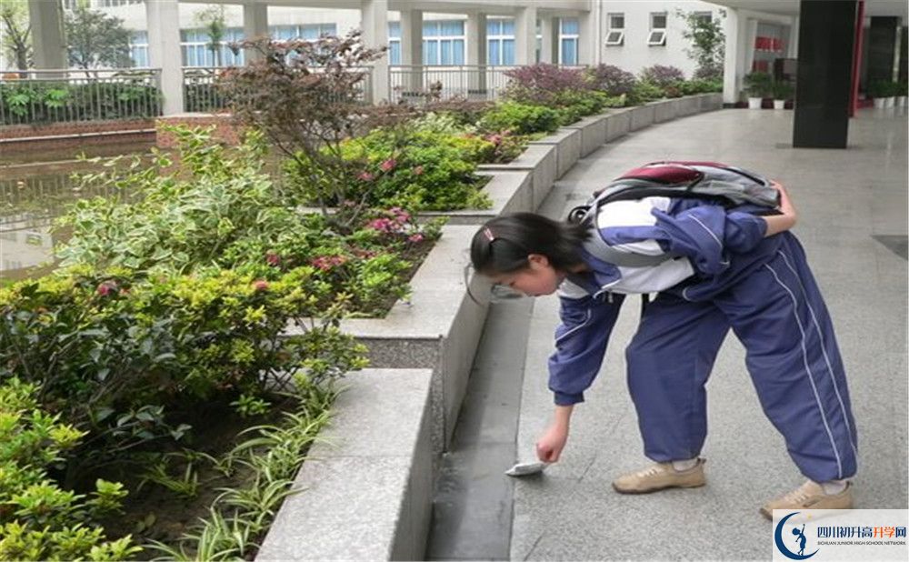 成都市龍泉中學(xué)初升高向外地招生嗎？