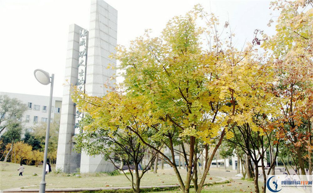 成都實(shí)驗(yàn)外國語學(xué)校（西區(qū)）2020年外地生學(xué)費(fèi)是多少？
