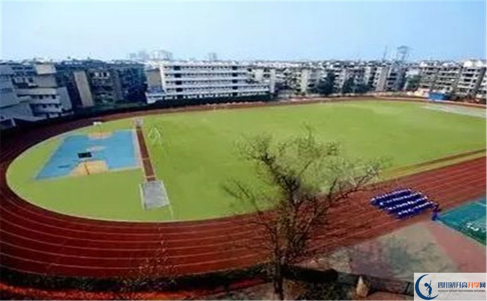 成都實(shí)外新都五龍山學(xué)校招生考試科目有哪些？