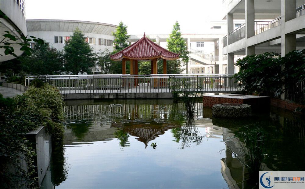 2020成都市龍泉中學(xué)高考重點(diǎn)大學(xué)升學(xué)率是多少？