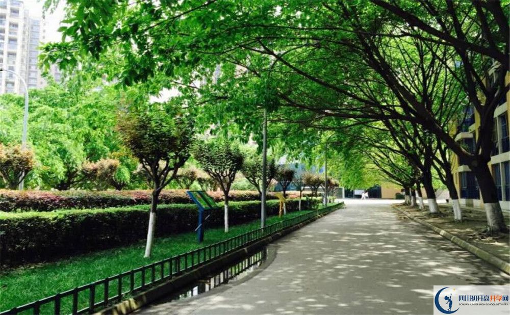 2020成都七中實驗學(xué)校國際部入學(xué)多少分？